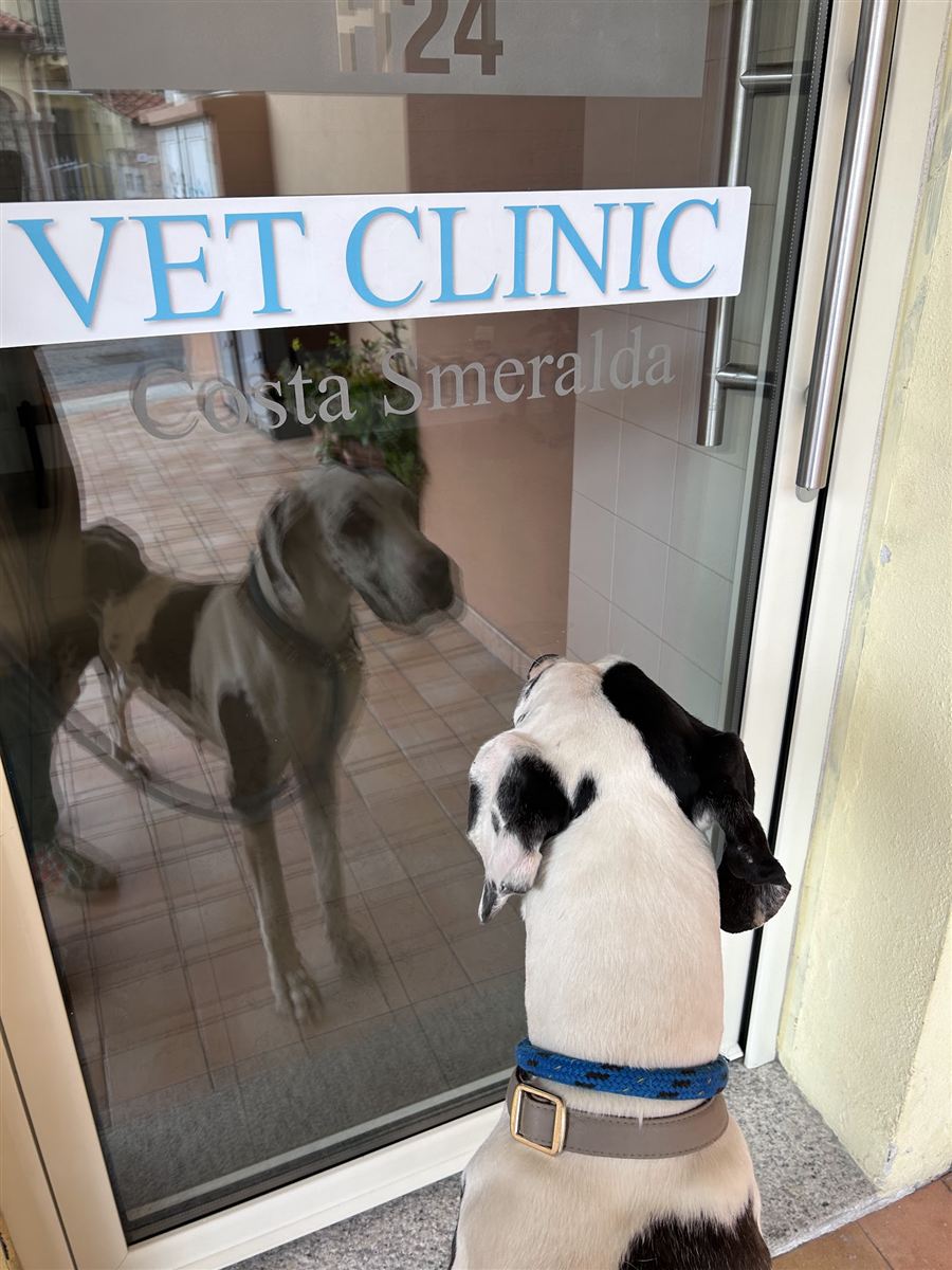 L'ingresso della clinica in Via Barcellona 62/E con l'insegna VET CLINIC