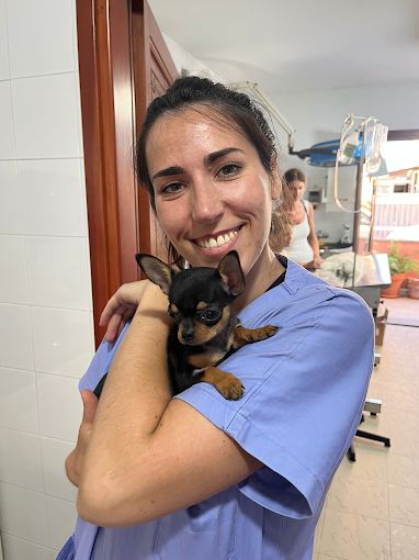 Un membro dello staff sorride con un cucciolo di chihuahua in braccio